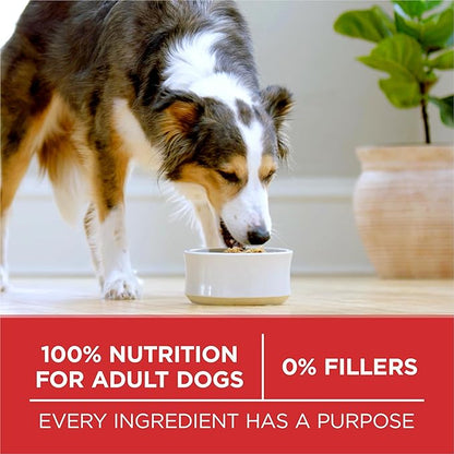 Purina ONE Small Bites Beef and Rice Formula Small High Protein Dry Dog Food Natural With Added Vitamins, Minerals and Nutrients - 16.5 lb. Bag - PAWPICO