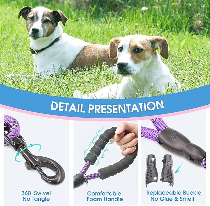 BAAPET 2/4/5/6 FT Dog Leash with Comfortable Padded Handle and Highly Reflective Threads for Small Medium and Large Dogs (2FT-1/2'', Purple) BAAPET