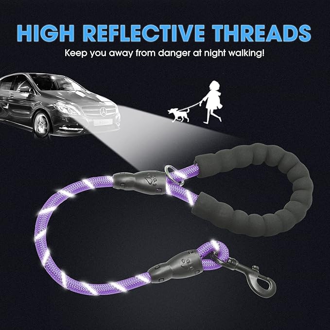 BAAPET 2/4/5/6 FT Dog Leash with Comfortable Padded Handle and Highly Reflective Threads for Small Medium and Large Dogs (2FT-1/2'', Purple) BAAPET