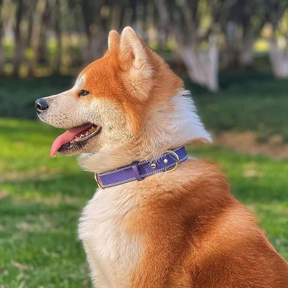 Genuine Leather Dog Collar, Heavy Duty Dog Collar, Wide Dog Collar for Small Dog, Medium Dog, Large Dog and Extra Large Dog (XL: 1.4" Wide for 18.6"-25.8" Neck, Dual Stitch - Purple) DAIHAQIKO