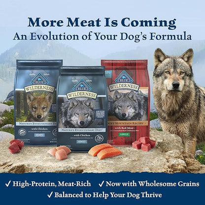 Blue Buffalo Wilderness Rocky Mountain Recipe High Protein, Natural Puppy Dry Dog Food, Red Meat 4-lb - PAWPICO