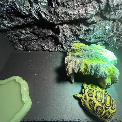 Reptile Basking Platform 2Pcs 9.8'' Large Tortoise Rock Plate Slate Feeding Platform Food Dish Bowl Turtle Bathing Rock Rest Terrace for Chameleon Lizard Bearded Dragon Gecko Snake Frog Newt (25CM) Tfwadmx