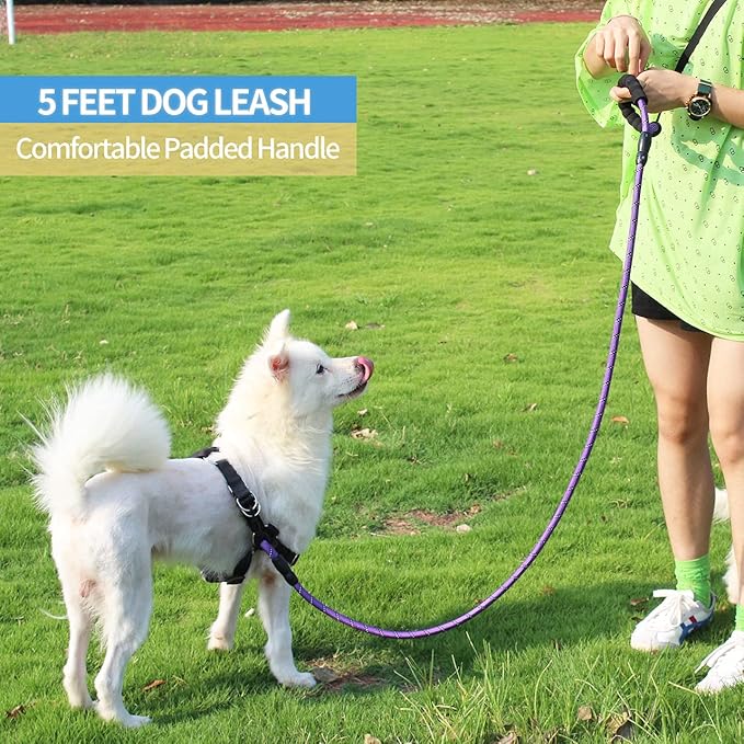 BAAPET 2/4/5/6 FT Dog Leash with Comfortable Padded Handle and Highly Reflective Threads for Small Medium and Large Dogs (5FT-1/2'', Purple) BAAPET