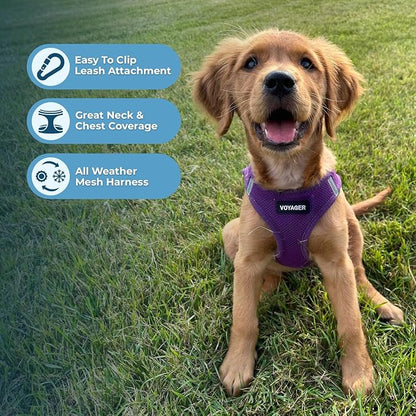 Voyager Step-in Air Dog Harness - All Weather Mesh, Reflective, No Pull Harness for Small, Medium Dogs, Cats - Secure with Hook & Loop Fastener, Buckle, Double D-Rings - Purple, XXS BestPetSuppliesLLC