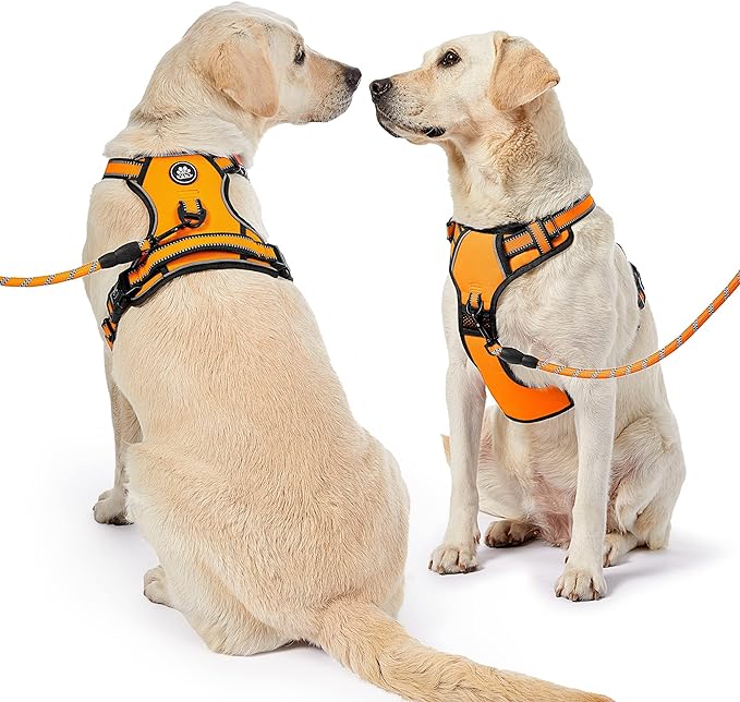 NESTROAD No Pull Dog Harness,Adjustable Oxford Dog Vest Harness with Leash,Reflective No-Choke Pet Harness with Easy Control Soft Handle for Small Dogs(Small,Orange) NESTROAD