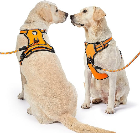 NESTROAD No Pull Dog Harness,Adjustable Oxford Dog Vest Harness with Leash,Reflective No-Choke Pet Harness with Easy Control Soft Handle for Small Dogs(Small,Orange) NESTROAD
