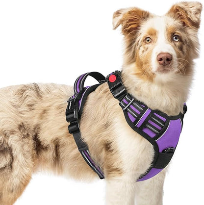 rabbitgoo Dog Harness Medium Sized, No Pull Pet Harness with 3 Buckles, Adjustable Soft Padded Pooch Vest with Instant Control Handle, Easy Walking Reflective Pet Vest for Medium Dogs, Purple, M rabbitgoo