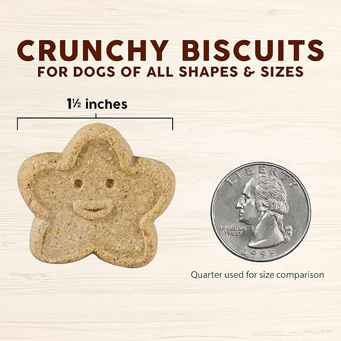 Cloud Star Wag More Bark Less Crunchy Grain Free Dog Treats, Pumpkin, 2.5 lb. Pouch - PAWPICO