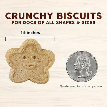 Cloud Star Wag More Bark Less Crunchy Grain Free Dog Treats, Pumpkin, 2.5 lb. Pouch - PAWPICO