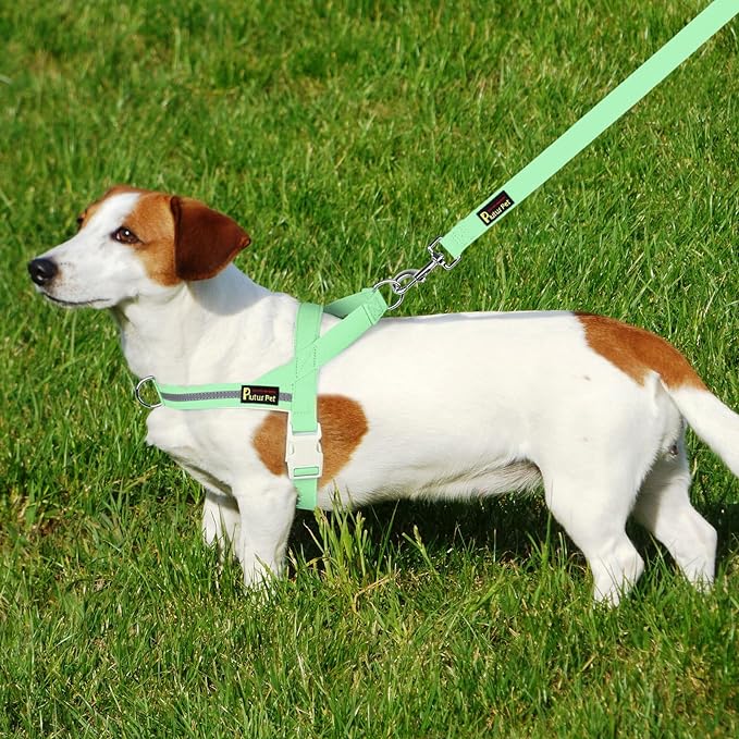 Plutus Pet Cotton Dog Harness and Leash Set, Reflective and Soft Padded, Quick Fit Vest Harness, for Small, Medium and Large Dogs, Light Green, M - PAWPICO