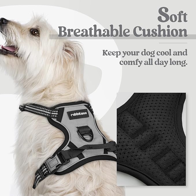 rabbitgoo Dog Harness No Pull with 2 Leash Clips, Adjustable Soft Padded, Reflective Oxford No Choke Pet Vest with Easy Control Handle for Puppy, Grey, XS rabbitgoo