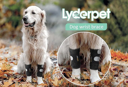 Dog Front Leg Brace Ankle Support for Forelilmb, Canine Dog Wrist Brace Splint, Protects Foreleg Carpus Joint Wounds Heals, Helps with Loss of Stability Caused by Arthritis Lyderpet