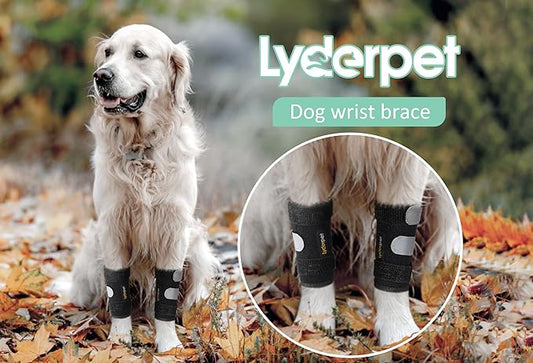 Dog Leg Brace Front Wrist or Carpal Support for Canine Dogs, Brace Compression Wraps with Metal Splints, Prevents Ankle Injuries&Sprains, Helps with Loss of Stability Caused by Arthritis Lyderpet