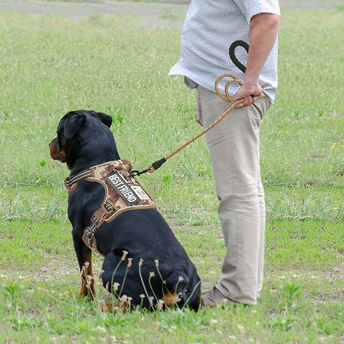 Heavy Duty Tactical Dog Harness for Large Dogs, No Pull Adjustable Pet Harness Reflective Service Training Easy Control Pet Vest Military K9 Working Dog Harnesses-X- Large, Desert Camo Beebielove