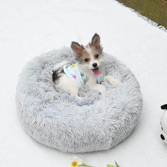 Orthopedic Dog Bed Small,Puppy Bed Washable,23 inches Donut Fluffy Small Pet Beds,Calming Anti Anxiety Round Fits up to 25 lbs Soft Warm Pets Beds for Puppies Indoor,Grey - PAWPICO