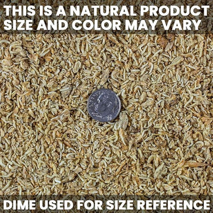 San Francisco Bay Brand Freeze-Dried Mysis Shrimp - Premium Fish Food, Tetra Fish Food, Tropical Fish Food - Ideal for Freshwater and Saltwater Fish, Cichlids, Angels, Seahorses - 0.49 oz (14g) SanFranciscoBayBrand