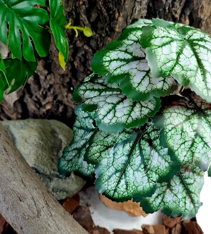 Woyrise Reptile Artificial Plants for Terrarium Decor, Amphibian Habitat Decorations Bearded Dragon Tank Accessories fit Crested Gecko Leopard Lizard Chameleon Snake Frog - Fake Green Heuchera Woyrise