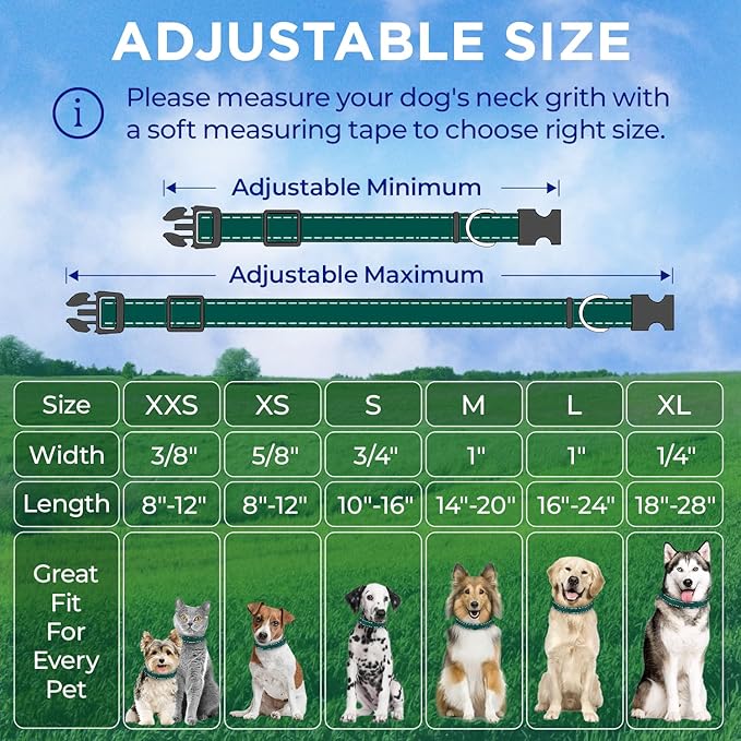 TECEUM Reflective Pet Collar – Dark Emerald Green – S – Basic Nylon Dog Collar – Quick Release Buckle – Fits Small, Medium and Large Dogs, Puppies, Cats – ESA & Service Dog Options TECEUM