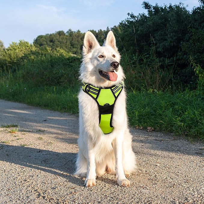 Eagloo Dog Harness Large Breed, No Pull Service Vest with Reflective Strips and Control Handle, Adjustable and Comfortable for Easy Walking, No Choke Pet Harness with 2 Metal Rings, Green, XL GoExplorewithEagloo