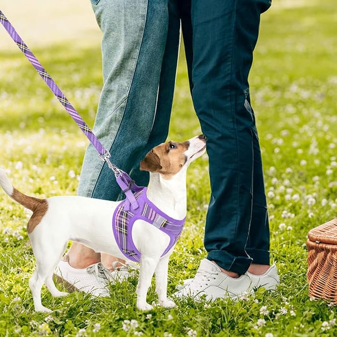 PUPTECK Adjustable Dog Harness Collar and Leash Set Step in No Pull Pet Harness for Small Medium Dogs Puppy and Cats Outdoor Walking Running, Soft Mesh Padded Reflective Vest Harnesses, Purple S PUPTECK