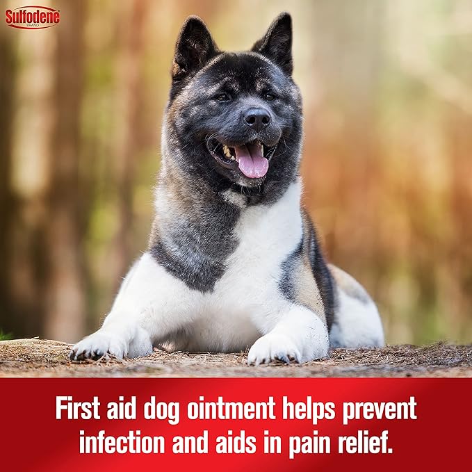 Dog Wound Care Ointment, Relieves Pain & Prevents Infection For Dog Cuts, Scrapes, Bites and Injuries, 2 Ounce Adams
