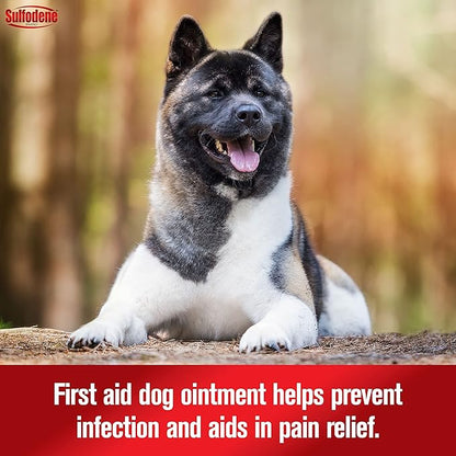 Dog Wound Care Ointment, Relieves Pain & Prevents Infection For Dog Cuts, Scrapes, Bites and Injuries, 2 Ounce Adams