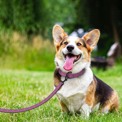 Didog Soft Padded Leather Dog Collar and Leash Set, Heavy Duty Dog Leash and Collar Set with Metal Buckle, Breathable Dog Collars with 4FT Leather Dog Leash for Small Medium Large Dogs, Purple, XL Didog