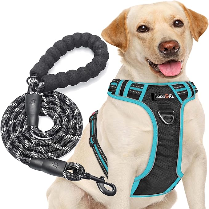 No Pull Dog Harness Adjustable Reflective Oxford Easy Control Medium Large Harness with A Free Heavy Duty 5ft Dog Leash tobeDRI