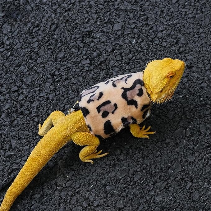 Bearded Dragon Harness and Leash Set - Adjustable Lizard Traction Rope Escape Proof Outdoor Walking Training Leash Reptile Halloween Costume Accessories for Bearded Dragon Lizard Small Pets (Brown) SEZDEKI