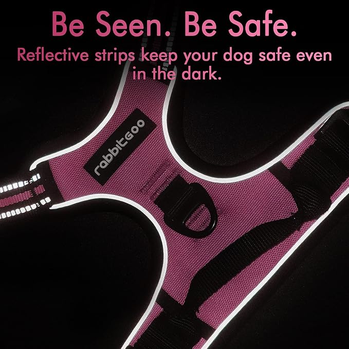 rabbitgoo Dog Harness, No-Pull Pet Harness with 2 Leash Clips, Adjustable Soft Padded Dog Vest, Reflective No-Choke Pet Oxford Vest with Easy Control Handle for Medium Dogs, Hot Pink, M - PAWPICO