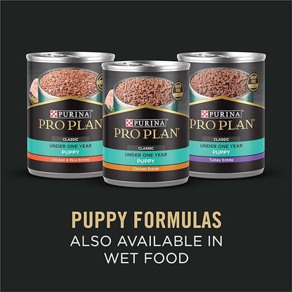 Purina Pro Plan Sensitive Skin and Stomach Puppy Food Lamb and Oat Meal Formula - 4 lb. Bag - PAWPICO