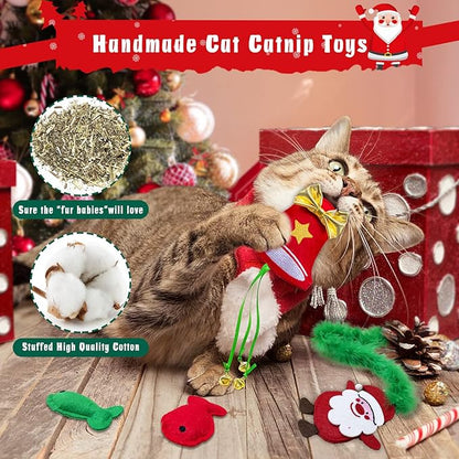 Cat Christmas Stocking, 10 Pack Christmas Cat Toys for Indoor Cats, Includes Catnip Toys, Cat Teaser, Cat Balls and Feather Toys, Great Value for Cats - PAWPICO
