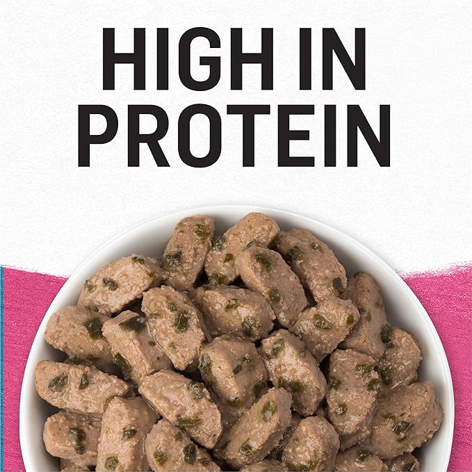 Purina Beyond Grain Free, Natural Gravy Wet Dog Food, Grain Free Beef & Spinach Recipe - (12) 12.5 oz. Cans - PAWPICO