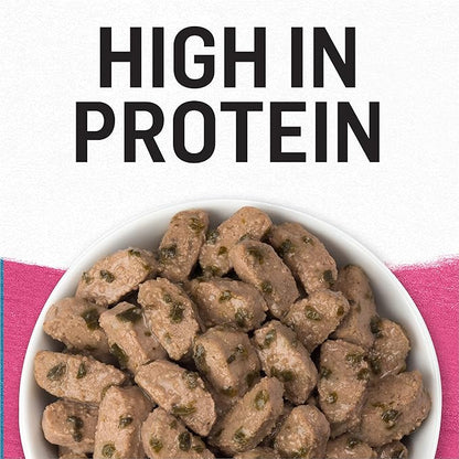 Purina Beyond Grain Free, Natural Gravy Wet Dog Food, Grain Free Beef & Spinach Recipe - (12) 12.5 oz. Cans - PAWPICO