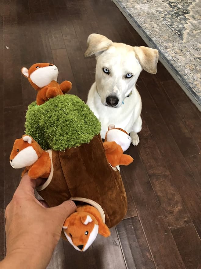 Fox in Tree Hide and Seek Dog Toy for Small and Medium Size Dogs, Plush Fox Inside Trunk Dog Toy with Squeaker, Interactive Burrow Dog Toy (Tree with Fox, Medium) - PAWPICO