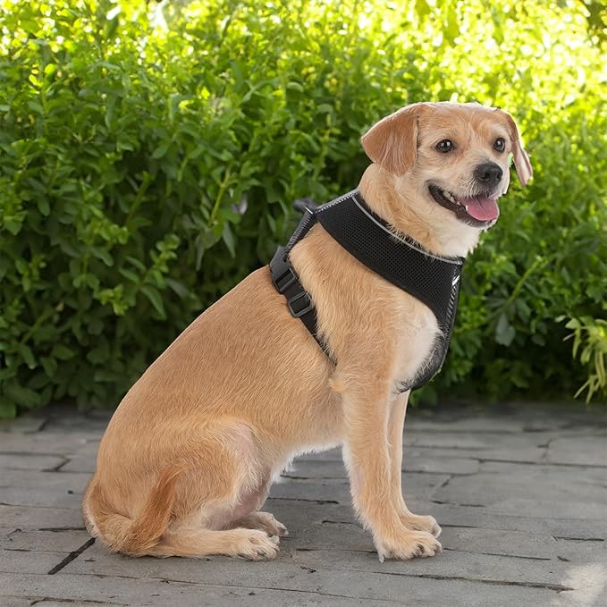 Voyager Aerolite No Pull Mesh Dog Harness with Lightweight, Soft, Breathable, Reflective Stitching, and Adjustable Straps for Walking, Running, Training, Heavy Duty and Durable - Black, L BestPetSuppliesLLC