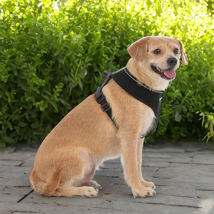 Voyager Aerolite No Pull Mesh Dog Harness with Lightweight, Soft, Breathable, Reflective Stitching, and Adjustable Straps for Walking, Running, Training, Heavy Duty and Durable - Black, L BestPetSuppliesLLC