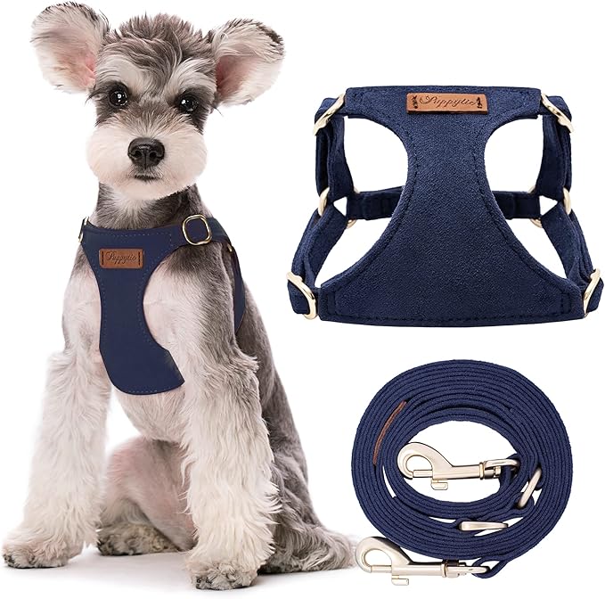 Puppytie No Pull Small Dog Harness with Multifunction Dog Leash,Lightweight Soft Adjustable No Choke Escape Proof Pet Harness Vest Pet Harness Vest,Navy,S Puppytie