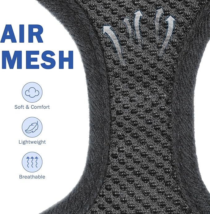 SCENEREAL No Pull Dog Harness Collar and Leash Set Small Medium Sized Dog, Soft Mesh Step in Puppy Harnesses, No Chock Plaid Adjustible Pet Vest for Outdoor Walking Training and Running, Black S - PAWPICO