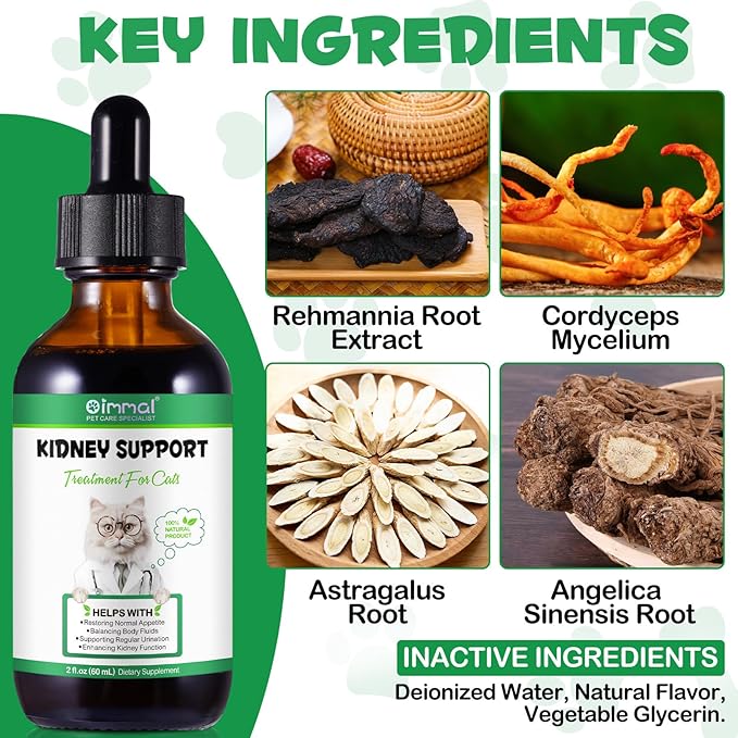 Liver Supplement for Cats, Liver & Kidney Support Drops with Chinese Herbs Rehmannia Glutinosa and Cordyceps Sinensis to Strengthen Liver & Kidneys Support, Pet Health Supplement for Cats - 2 x 60 ml PAWPICO