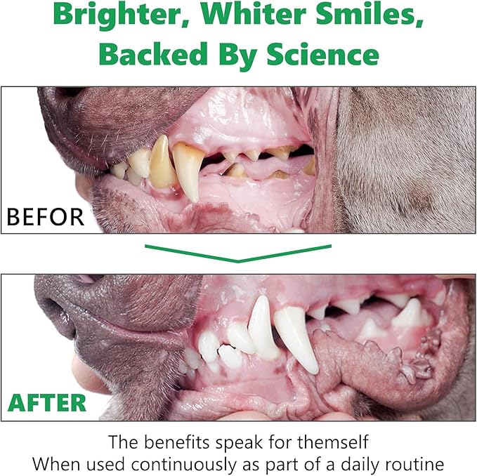 Dog Dental Powder(10.58OZ)-Teeth Cleaning Powder for Dogs, Plaque Off Powder for Dogs & Cats Breath Freshener Powder for Bad Breath, Tartar Remover, for Small/Medium/Large/Giant Dog HONGYEE-NH