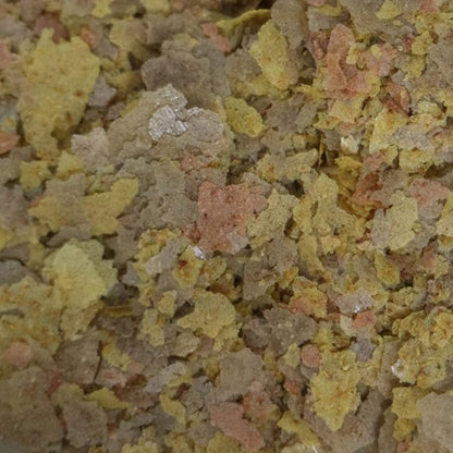 API TROPICAL GREENS FLAKES Tropical Fish Greens Flakes Fish Food 2.1-Ounce Container API