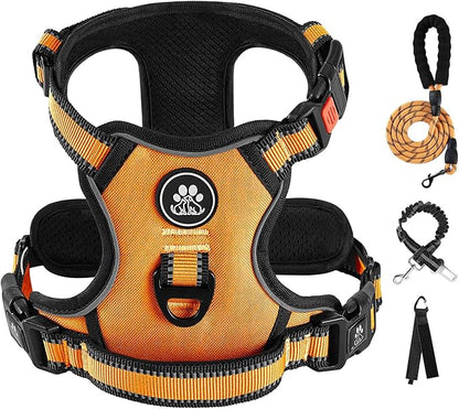 IVY&LANE No Pull Dog Harness for Small Dogs, Vest Harness with Leash, Safety Belt and Storage Strap, Fully Adjustable, 360° Reflective Strip, Soft Handle (Orange, S) IVYLANE