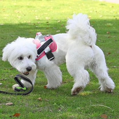 Bolux Dog Harness, No-Pull Reflective Dog Vest, Breathable Adjustable Pet Harness with Handle for Outdoor Walking - No More Pulling, Tugging or Choking (Fuchsia, XX-Large (Pack of 1)) Bolux