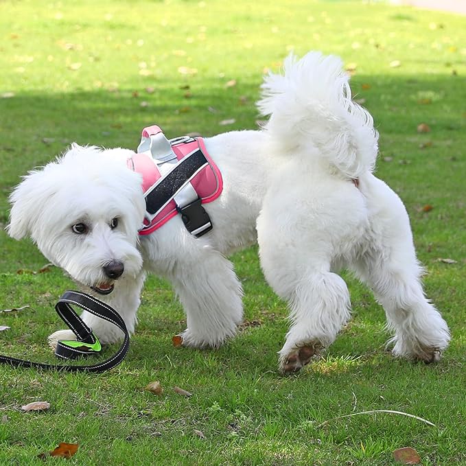 Bolux Dog Harness, No-Pull Reflective Dog Vest, Breathable Adjustable Pet Harness with Handle for Outdoor Walking - No More Pulling, Tugging or Choking (Fuchsia, X-Small (Pack of 1)) Bolux