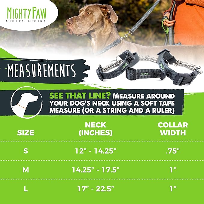 Mighty Paw Martingale Dog Collar 2.0 | Trainer Approved Limited Slip Collar with Stainless Steel Chain & Heavy Duty Buckle - Modified Cinch Collar for Gentle & Effective Pet Training - Medium, Grey MightyPaw