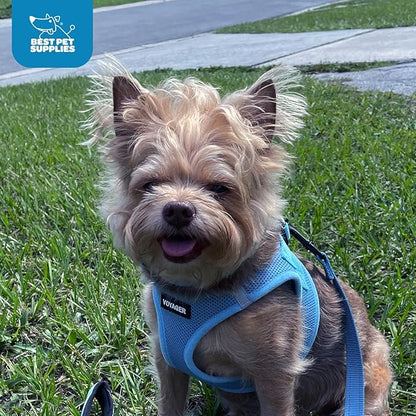 Voyager Step-in Air Dog Harness - All Weather Mesh, Reflective, No Pull Harness for Small, Medium Dogs, Cats - Secure with Hook & Loop Fastener, Buckle, Double D-Rings - Baby Blue, XS BestPetSuppliesLLC