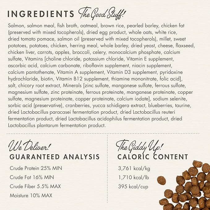 Fromm Four-Star Nutritionals Salmon A La Veg Dog Food - Premium Dry Dog Food - Salmon Recipe - 12 lb - PAWPICO