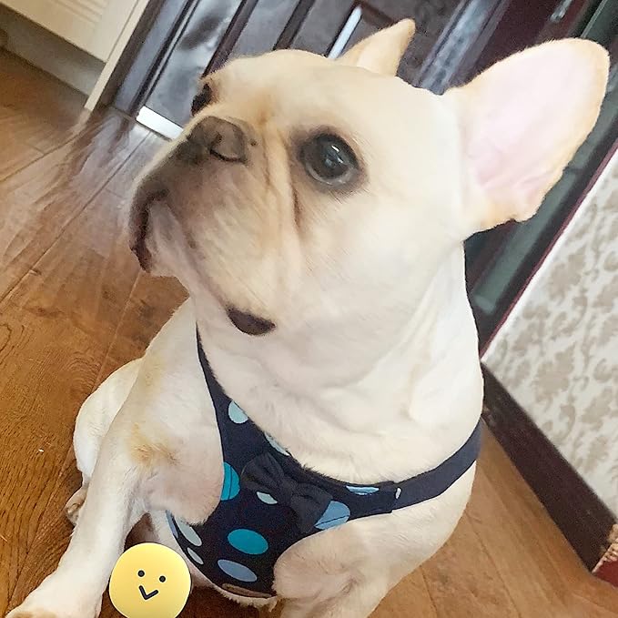 Puppytie No Pull Dog Harness with Multifunction Dog Leash,Soft Adjustable No Choke Escape Proof Pet Harness Vest for Medium Dogs,Polka dots Starry Sky,M Puppytie