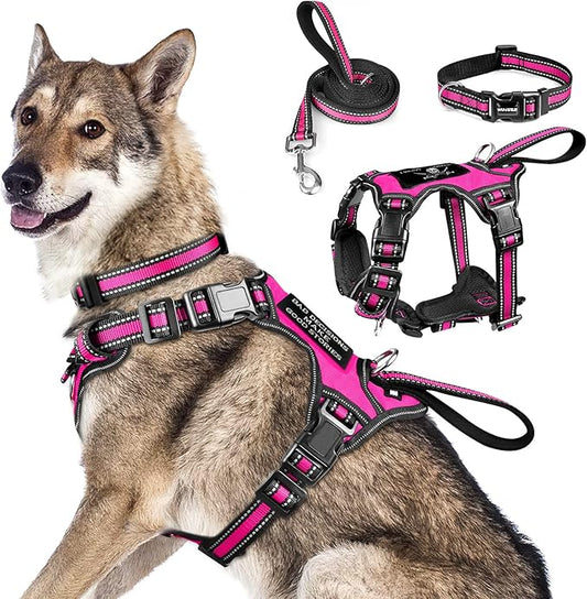 WINSEE Pet Harness Collar and Leash Set, All-in-one Reflective Dog Harness No Pull with Adjustable Buckles for Puppies, Small, Medium, Large, and Extra-Large Dogs (X-Large, Rosy) WINSEE